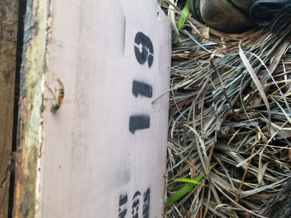 20180425_155103.jpg