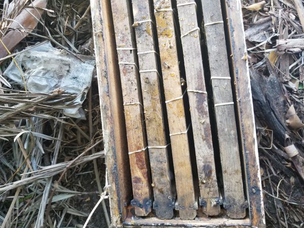 20180425_160358.jpg