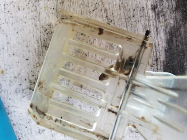 20180425_161322.jpg