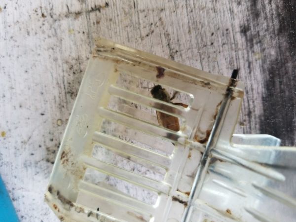 20180425_161323.jpg