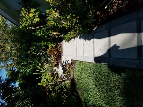 20180426_091346.jpg