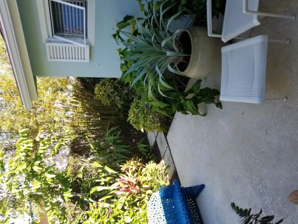 20180426_091356.jpg