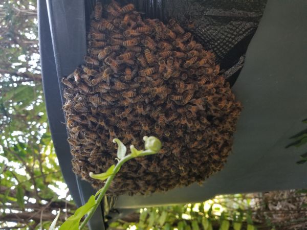 20180426_091530.jpg
