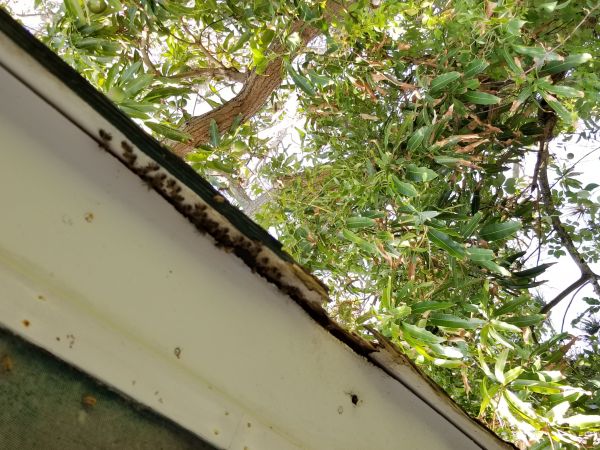 20180430_165123.jpg