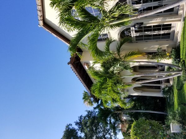 20180430_171618.jpg