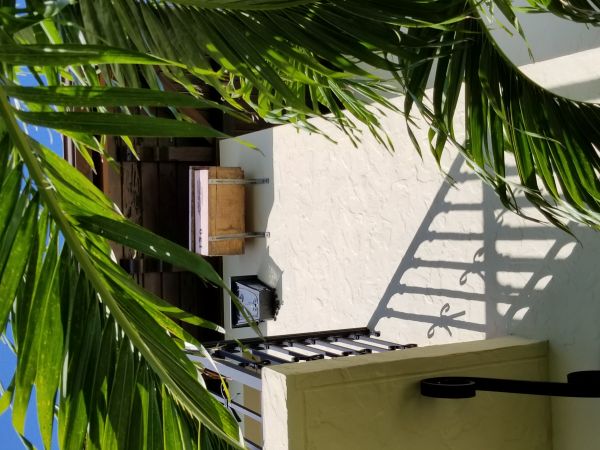 20180430_171651.jpg