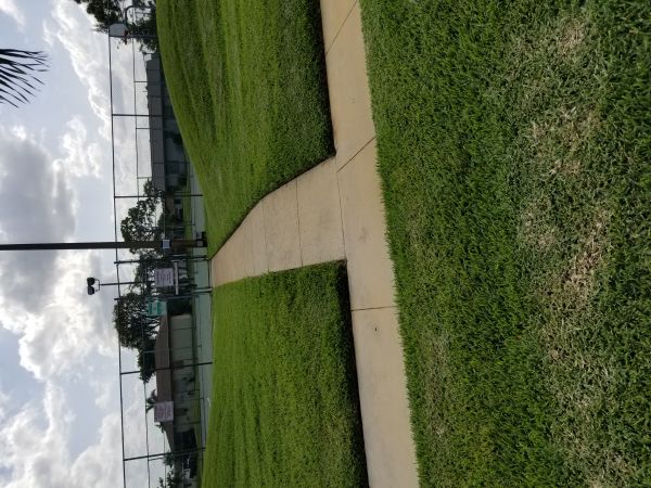 20180501_165017.jpg