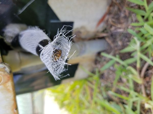 20180501_165123.jpg