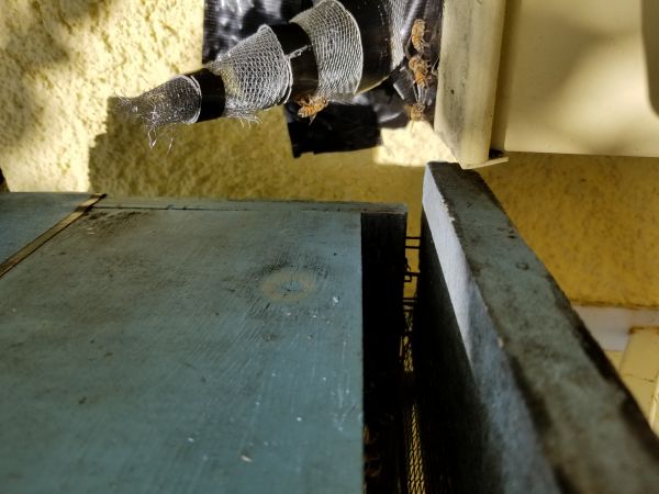 20180501_172406.jpg