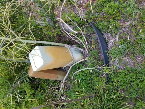 20180501_192324.jpg