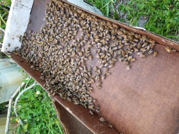 20180501_193152.jpg