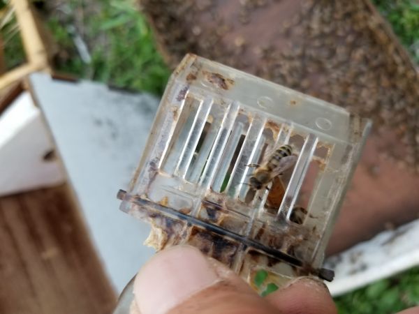 20180501_193234.jpg