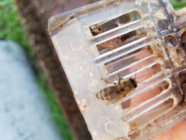 20180501_193238.jpg