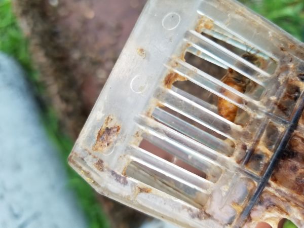 20180501_193246.jpg
