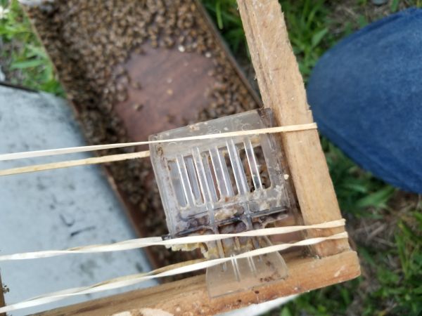 20180501_193341.jpg