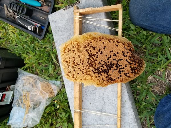 20180501_193517.jpg