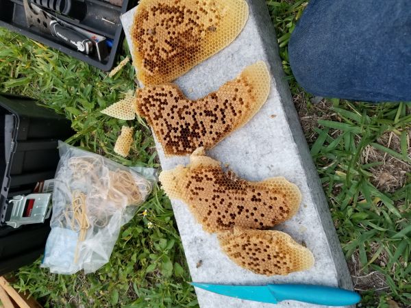 20180501_193719.jpg