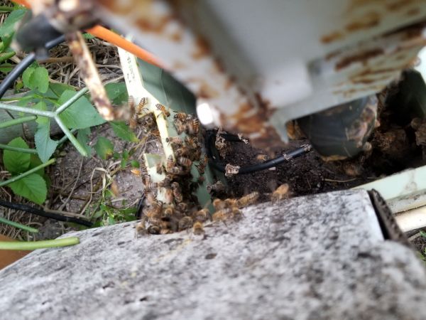 20180501_194150.jpg
