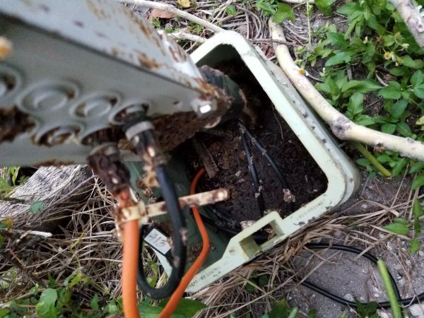 20180501_195340.jpg