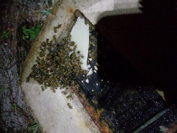 20180502_054139.jpg