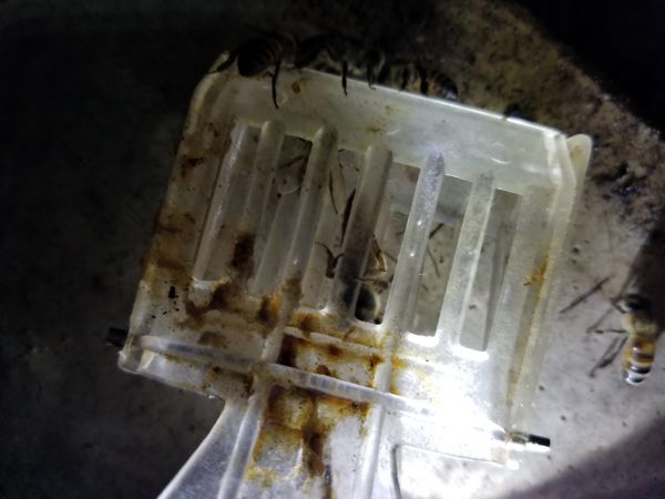 20180502_054505.jpg