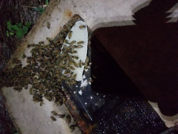 20180502_054816.jpg