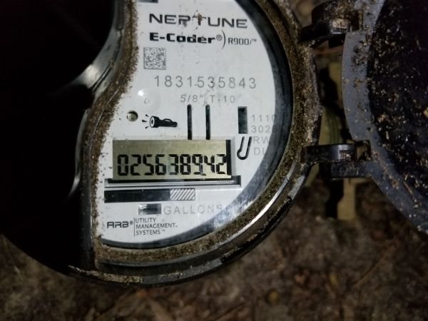 20180502_060831.jpg