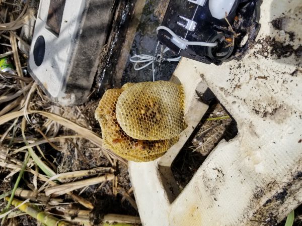 20180502_140148.jpg