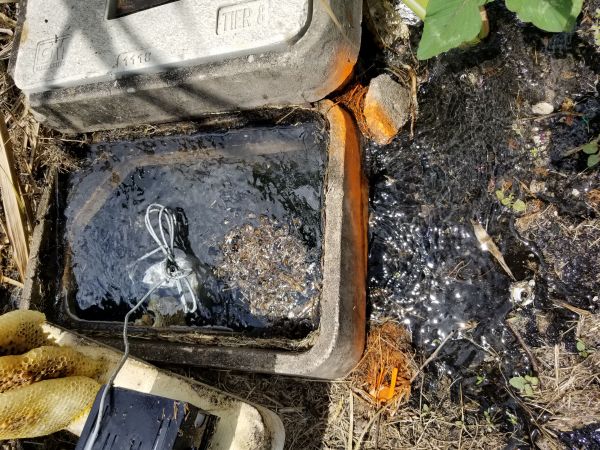 20180502_140155.jpg