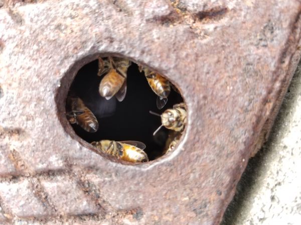 20180502_181406.jpg