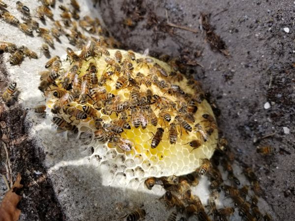 20180502_181636.jpg