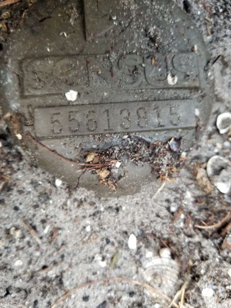 20180502_182945.jpg