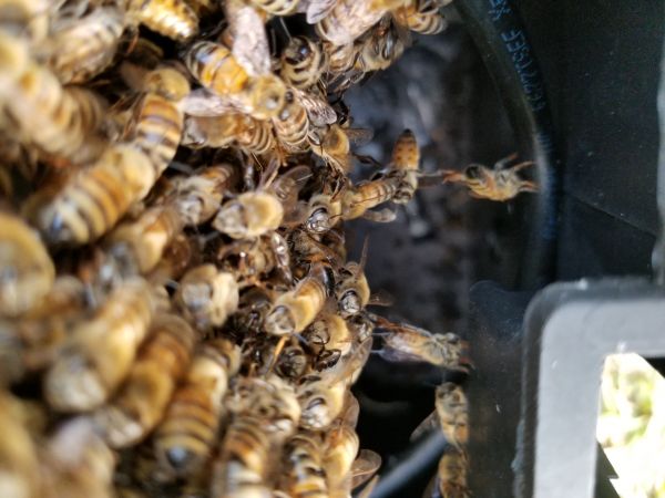 20180502_191831.jpg