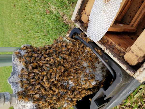 20180502_192309.jpg