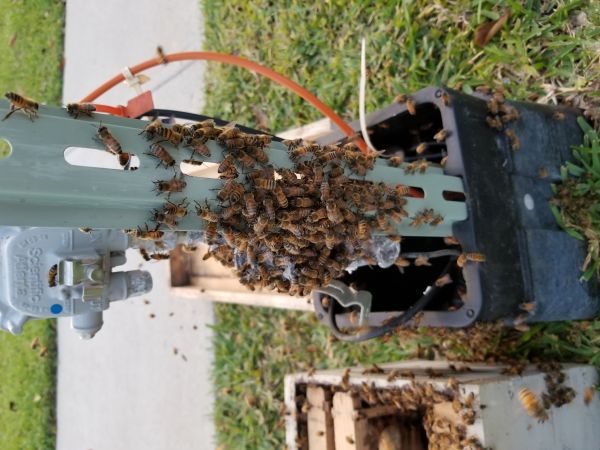 20180502_193406.jpg