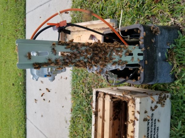 20180502_193500.jpg