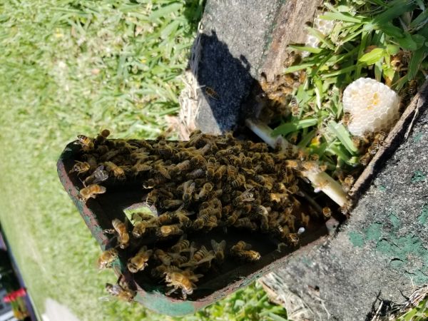 20180504_160832.jpg