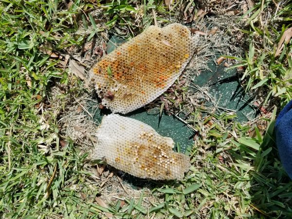 20180504_160835.jpg