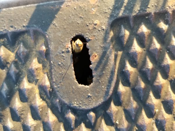 20180507_191203.jpg