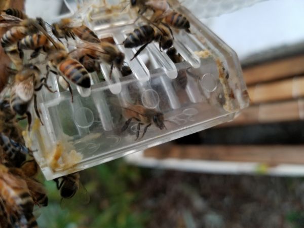20180507_194820.jpg
