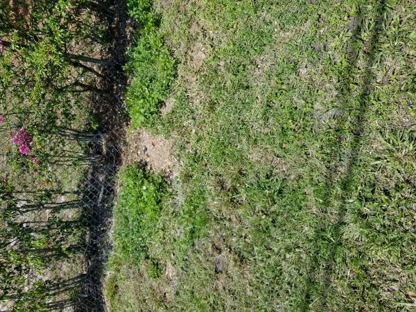 20180508_150140.jpg