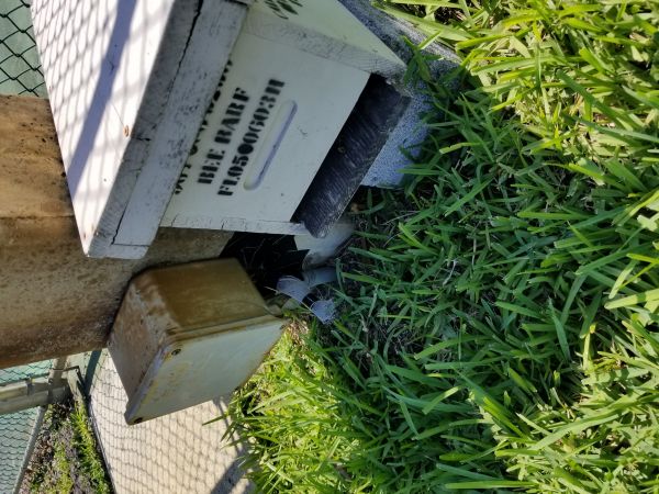 20180508_155142.jpg