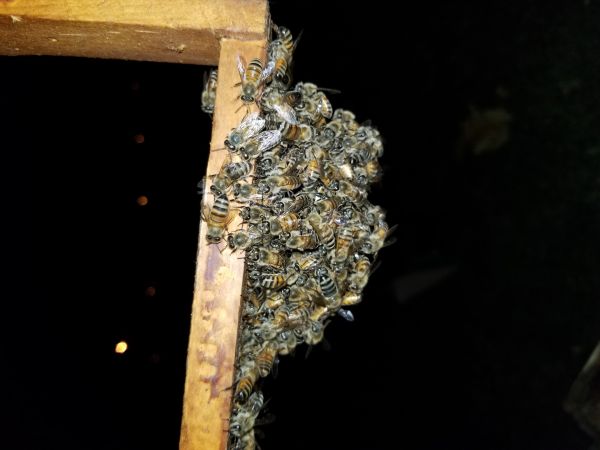 20180508_205834.jpg
