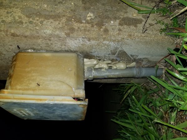 20180508_222127.jpg