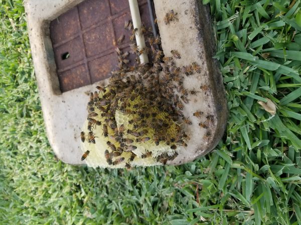 20180510_171350.jpg