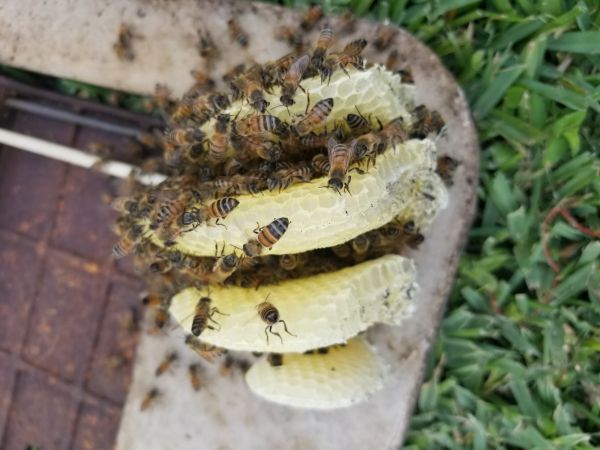20180510_171353.jpg