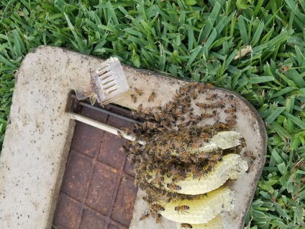 20180510_171437.jpg