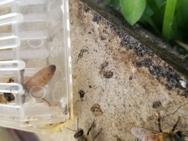 20180510_171505.jpg