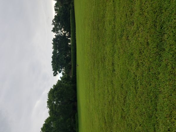 20180516_162619.jpg
