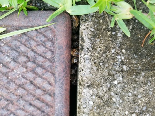 20180516_162655.jpg